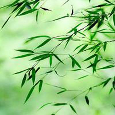 双轮驱动，质领未来 | 产业智能...
