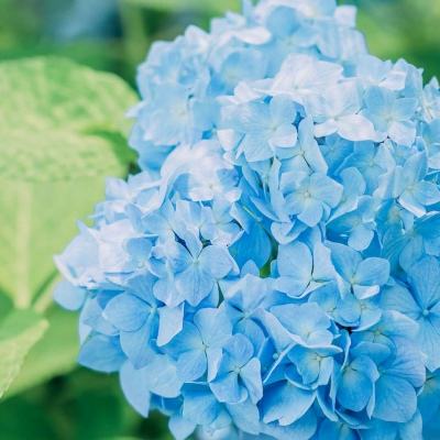 3月25日美股成交额前20：微软与英伟达联手开发面向核能的AI工具